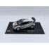 1:43 Масштабная модель FORD FIESTA RS WRC 8 F.Delecour/D.Savignoni Rally Monte Carlo 2012, white