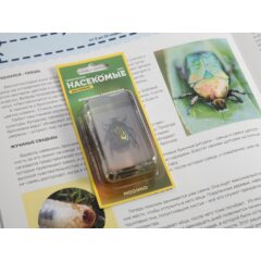 Жуки и пауки №1 - Бронзовка золотистая