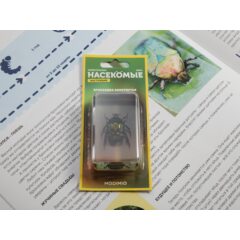 Жуки и пауки №1 - Бронзовка золотистая