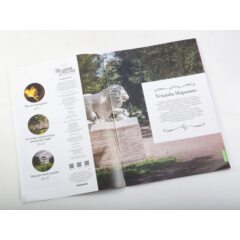 Усадьбы России: судьбы, архитектура, вдохновение №31 - Усадьба Марьино (Ленинградская область)