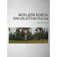 Фон для бокса SSM (26,3x10,8x10,9 см), вариант №4