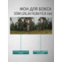 Фон для бокса SSM (26,3x10,8x10,9 см), вариант №4