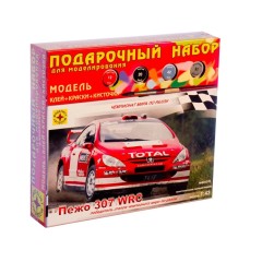 1:43 Подарочный набор. Сборная модель Peugeot 307 WRC