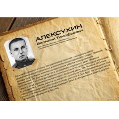 1:48 Герои Победы. Сборная модель Советский двухместный штурмовик Ил-2 (обр. 1943г)