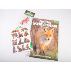 Дикие животные России №1 - Обыкновенная лисица