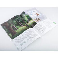 Усадьбы России: судьбы, архитектура, вдохновение №17 - Усадьба Тарханы