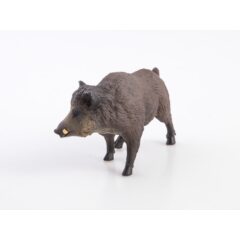 Дикие животные России №5 - Кабан