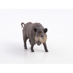 Дикие животные России №5 - Кабан