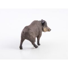 Дикие животные России №5 - Кабан