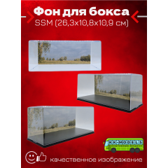Фон для бокса SSM (26,3x10,8x10,9 см), вариант №2
