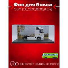 Фон для бокса SSM (26,3x10,8x10,9 см), вариант №2