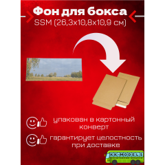 Фон для бокса SSM (26,3x10,8x10,9 см), вариант №2
