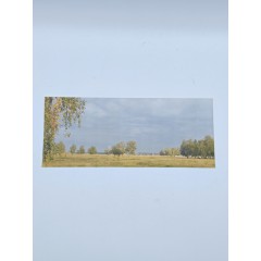 Фон для бокса SSM (26,3x10,8x10,9 см), вариант №2