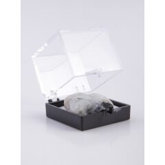 Камни и минералы №47 - Лунный камень