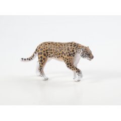 Дикие животные России №27 - Дальневосточный леопард