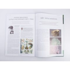 Камни и минералы №36 - Роза пустыни