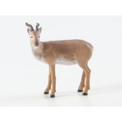 Дикие животные России №29 - Дзерен