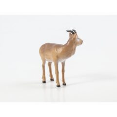 Дикие животные России №29 - Дзерен