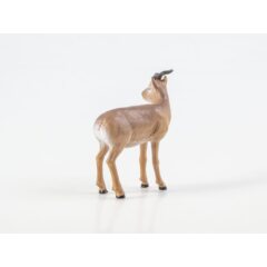 Дикие животные России №29 - Дзерен