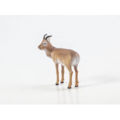 Дикие животные России №29 - Дзерен