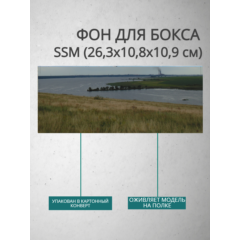 Фон для бокса SSM (26,3x10,8x10,9 см), вариант №5