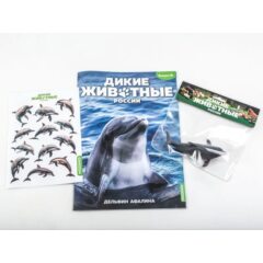 Дикие животные России №16 - Дельфин афалина