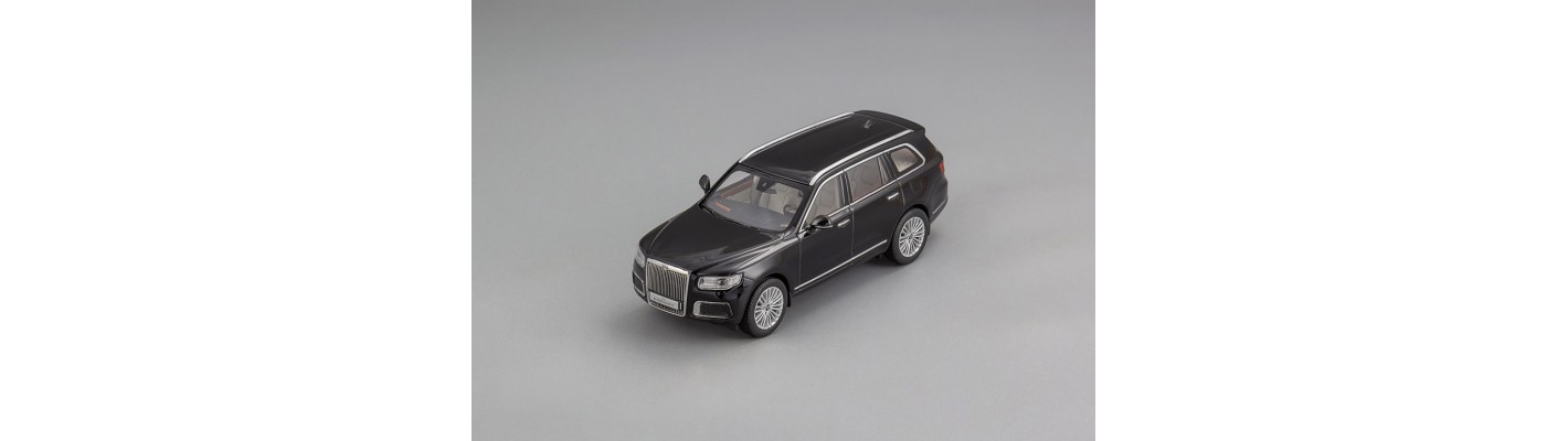Aurus Comendant от DIP Models! 