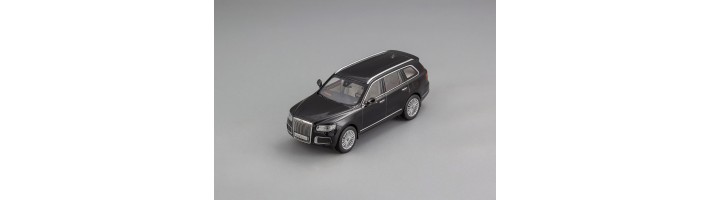 Aurus Comendant от DIP Models! 