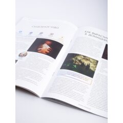 Камни и минералы №19 - Гималайская соль