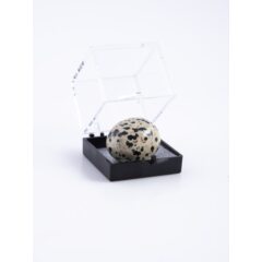 Камни и минералы №18 - Далматиновая яшма