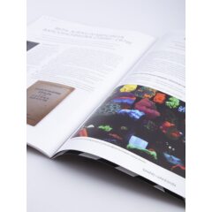 Камни и минералы №17 - Сердолик