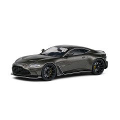 1:43 Масштабная модель Aston Martin V V12 (grey)