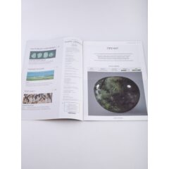 Камни и минералы №48 - Пренит