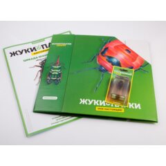 Жуки и пауки №19 - Цикада монгольская