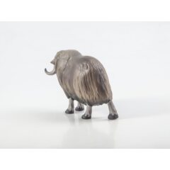 Дикие животные России №31 - Овцебык