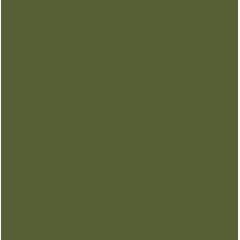 Краска  10мл  RUSSIAN GREEN 4BO 1947