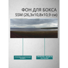 Фон для бокса SSM (26,3x10,8x10,9 см), вариант №8