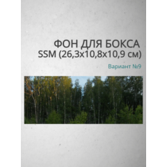 Фон для бокса SSM (26,3x10,8x10,9 см), вариант №9