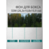Фон для бокса SSM (26,3x10,8x10,9 см), вариант №9