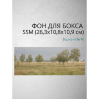 Фон для бокса SSM (26,3x10,8x10,9 см), вариант №10