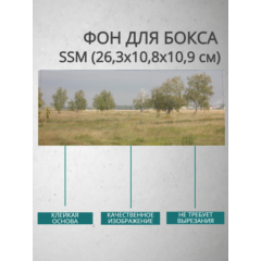 Фон для бокса SSM (26,3x10,8x10,9 см), вариант №10