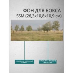 Фон для бокса SSM (26,3x10,8x10,9 см), вариант №10