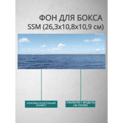 Фон для бокса SSM (26,3x10,8x10,9 см), вариант №11