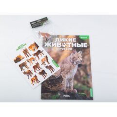 Дикие животные России №9 - Рысь