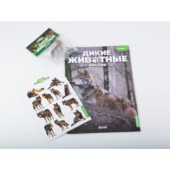 Дикие животные России №7 - Волк