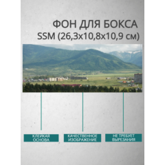 Фон для бокса SSM (26,3x10,8x10,9 см), вариант №12