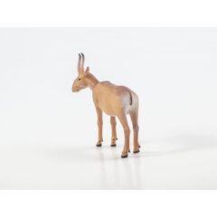 Дикие животные России №23 - Сайгак