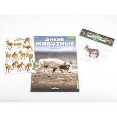 Дикие животные России №23 - Сайгак