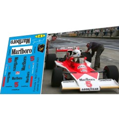 1:43 декаль Formula 1 №21 McLaren M23 №5 James Hunt