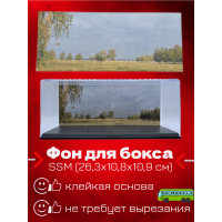 Фон для бокса SSM (26,3x10,8x10,9 см), вариант №1